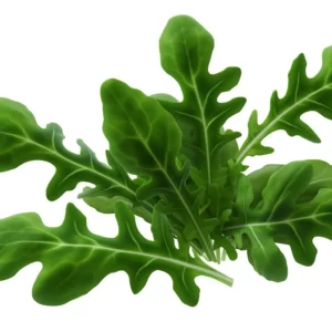 Arugula