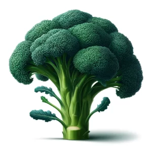 Broccoli