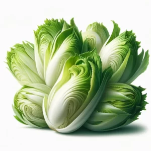 Endive