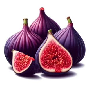 Fig