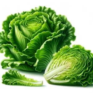 Lettuce