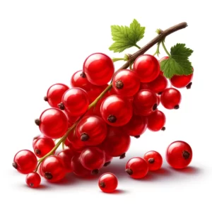 Red Currant