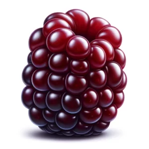 boysenberry